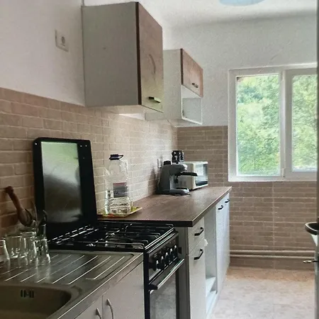 Herculane Cu La Munte Apartment *